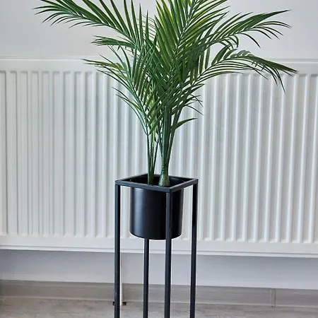 Daire Promenada 2 Navodari