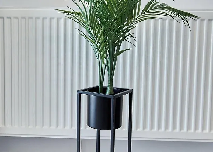 公寓 Promenada 2 那沃达利